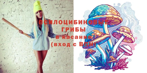 дмт Алексеевка