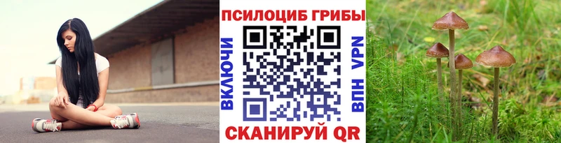 Галлюциногенные грибы мухоморы  OMG как зайти  Будённовск 